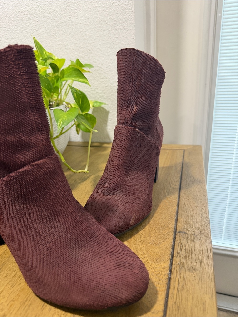 Seychelles Suede Textured Tulip Topline- Block Heel Ankle Boots - Burgundy - Picture 3 of 6